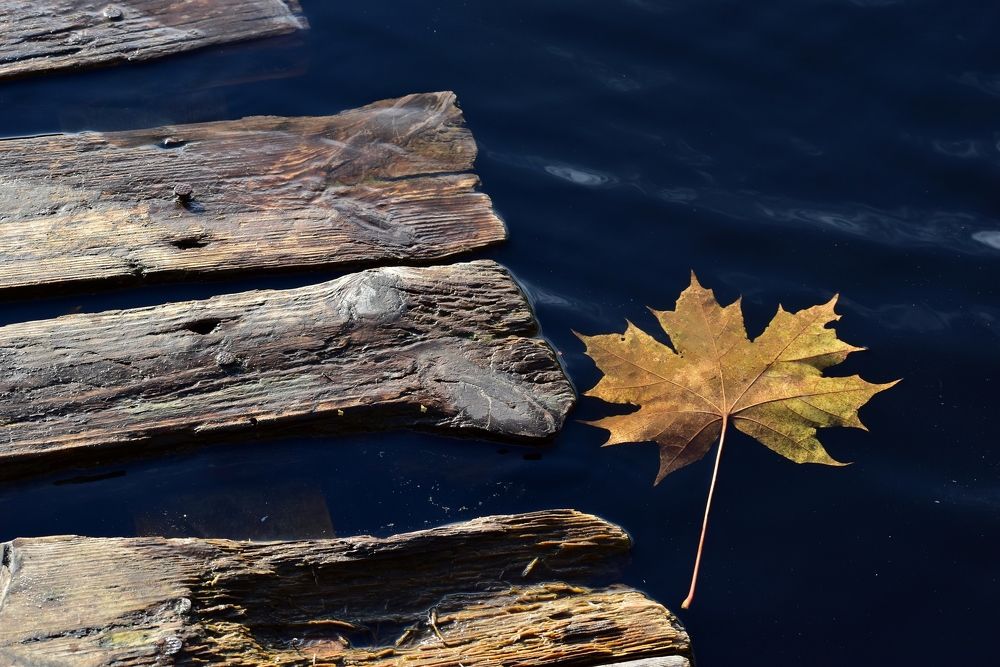 Фотография автора Дмитрий Лазаренко