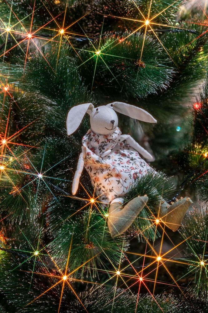 Photograph by Наталья Жигелис