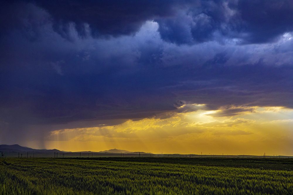 Photograph by Bita Mozaffari