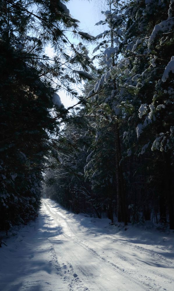 Photograph by Ольга Моисеева