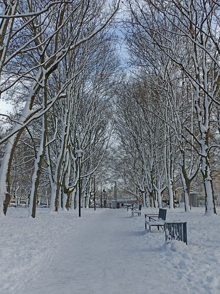 Заснежило..