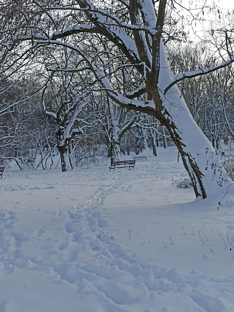 Фотография автора Viktoryia М