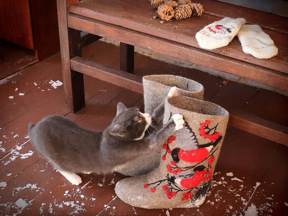 Photograph by Татьяна Елькина