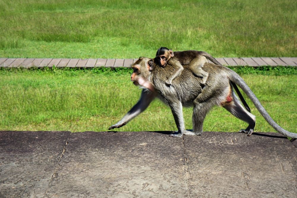 Фотография автора Ser P