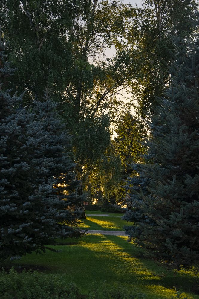 сквер в золотой час