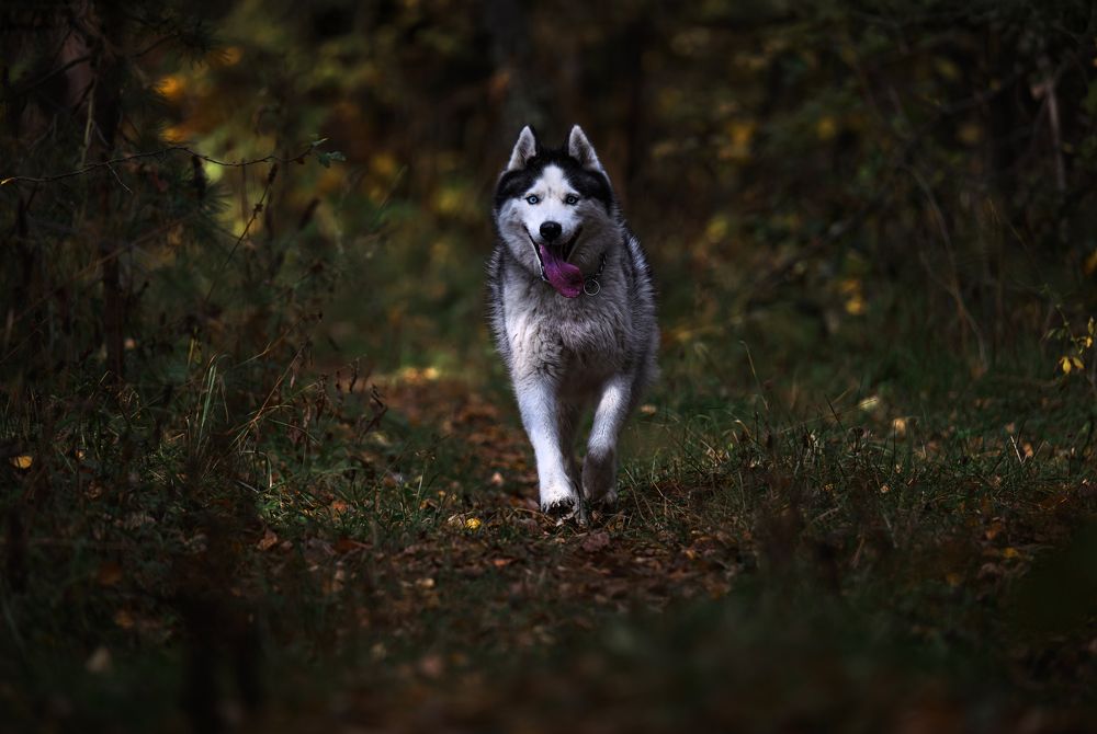 Photograph by Мария Ирешева