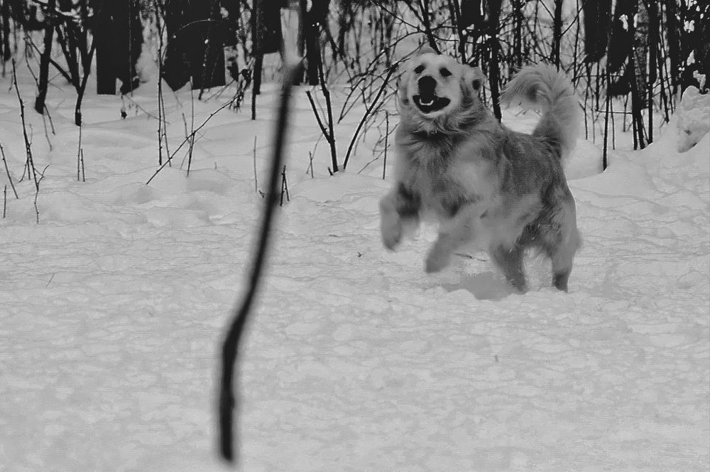 Photograph by Aleksandr Larionov