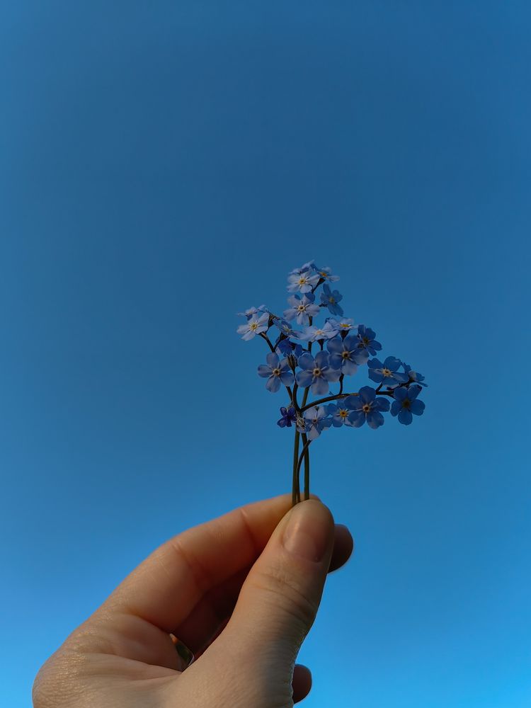 Photograph by Ольга Карева