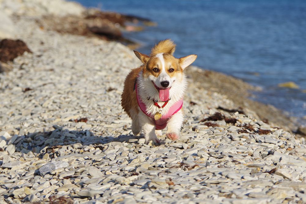 Photograph by Елена Щитова