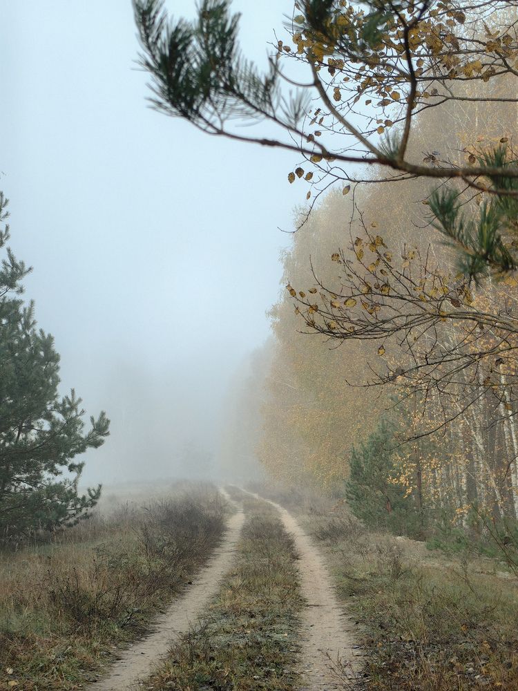 Фотография автора Ольга Панасюк