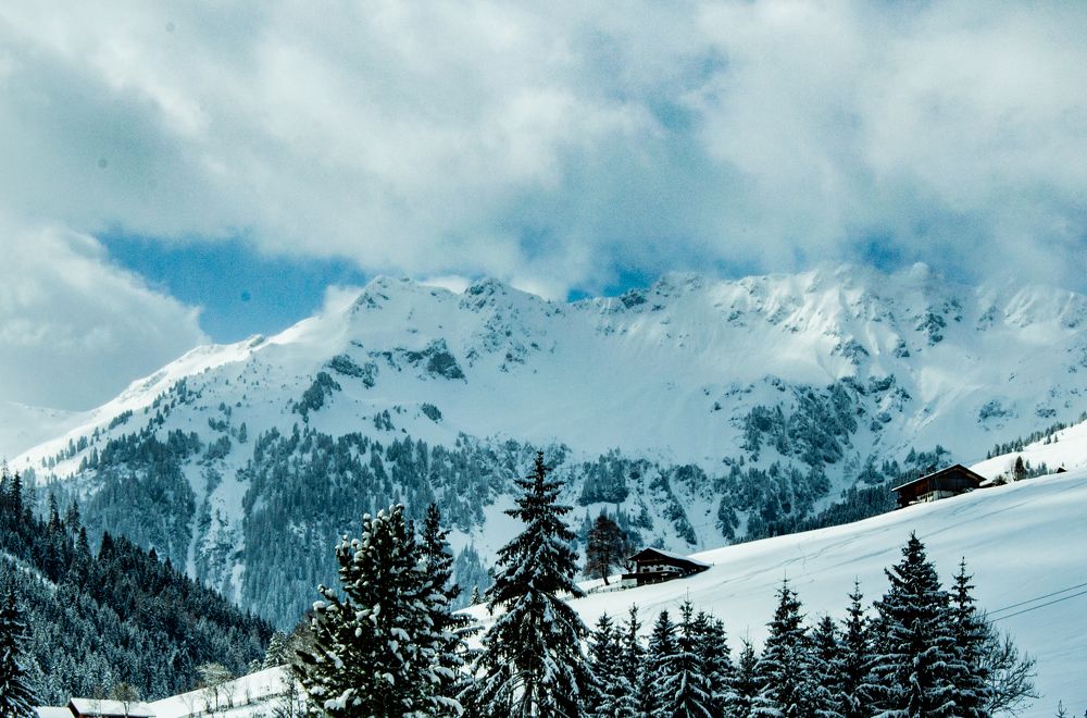 Photograph by Liliana Negoi