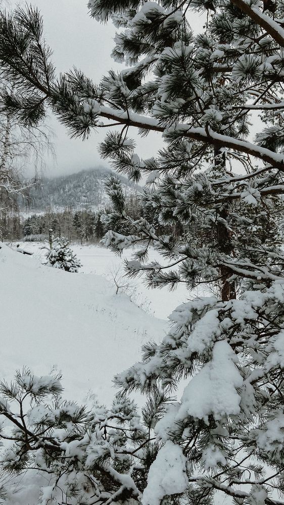 Photograph by Ольга Кашлева