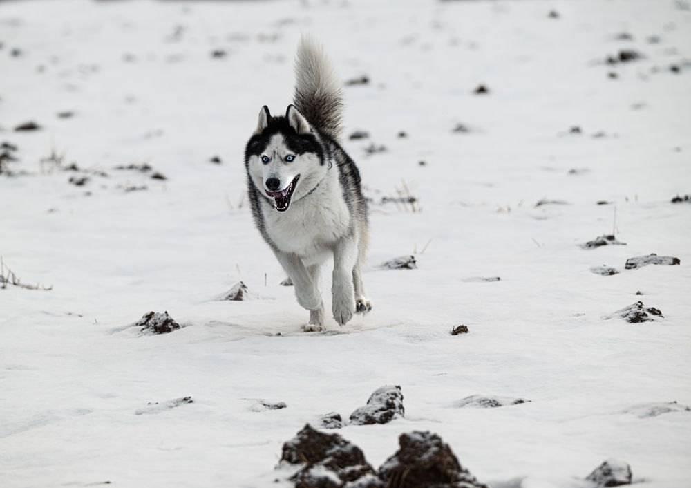Photograph by Мария Ирешева
