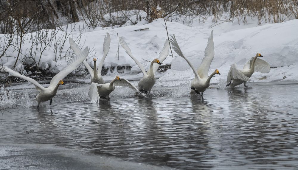 Photograph by Евгений Санин