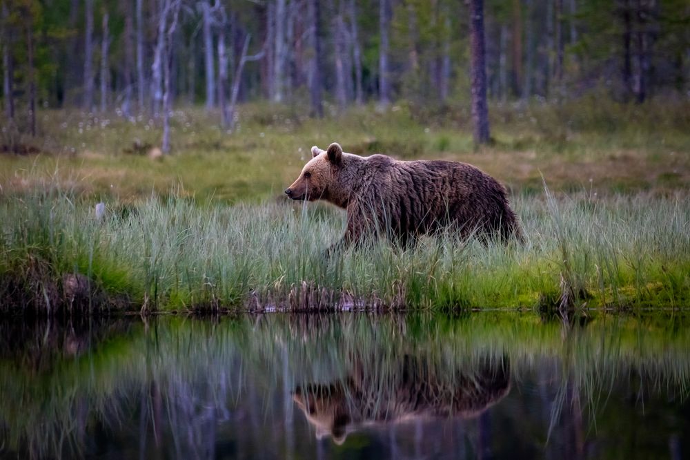 Photograph by Vita Potomova