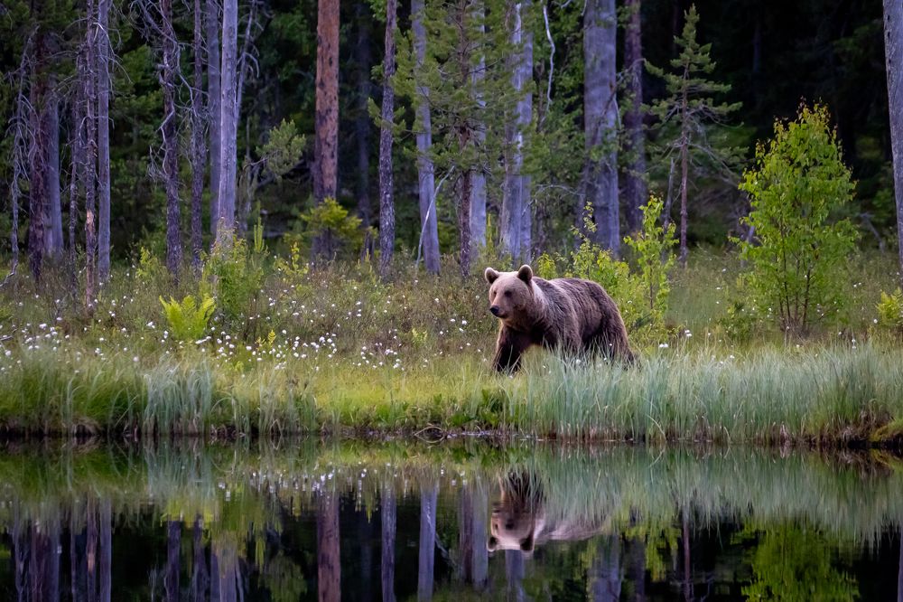 Photograph by Vita Potomova