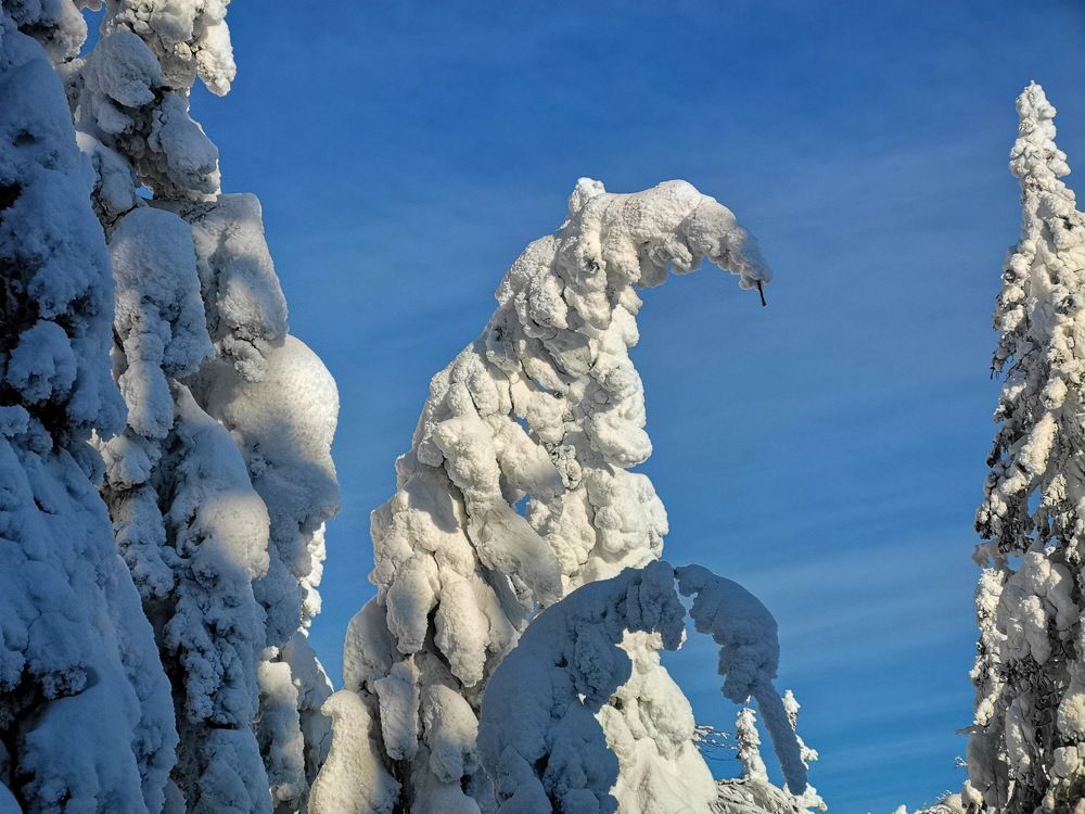 Photograph by Александр Гундоров