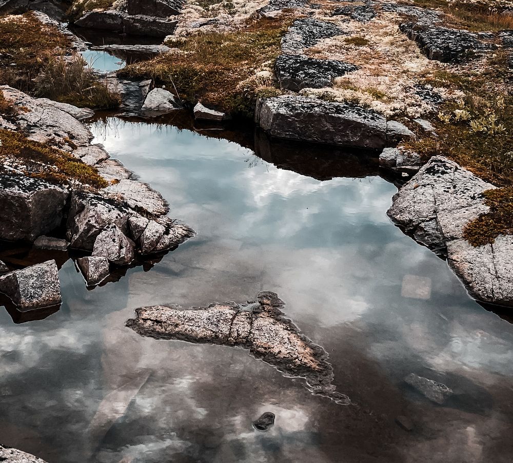 Photograph by Елена Алименко