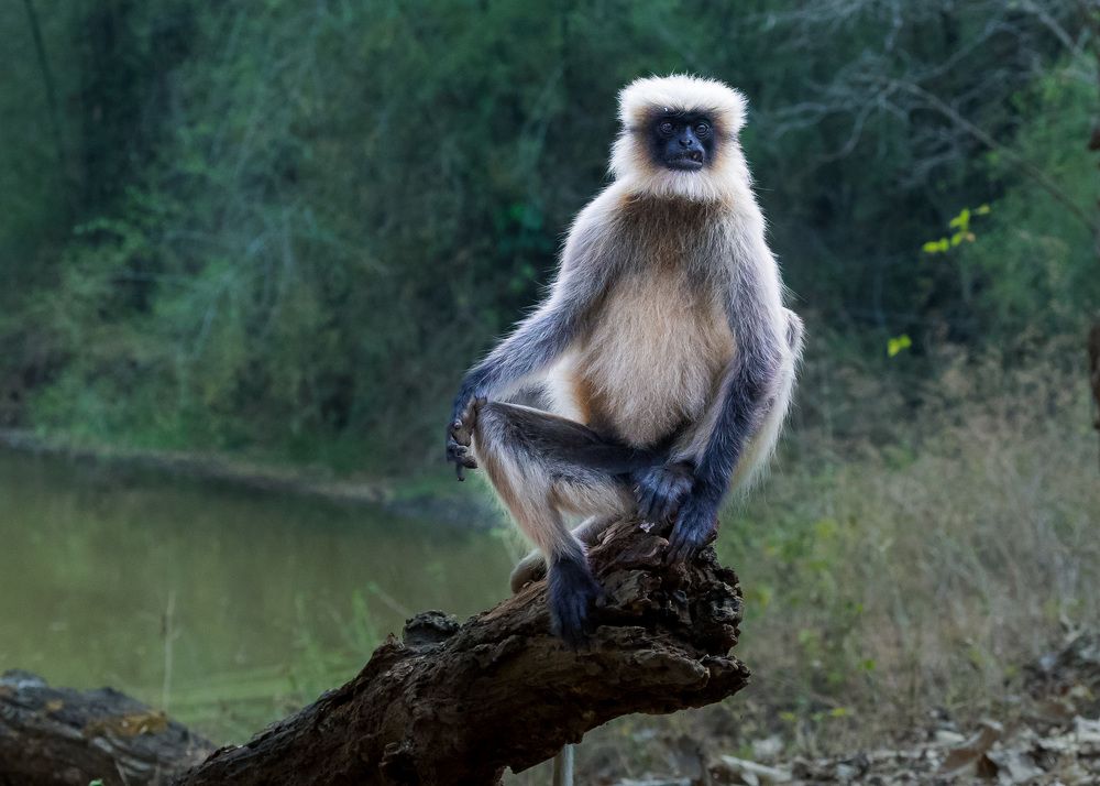 Photograph by Vinayak Naik