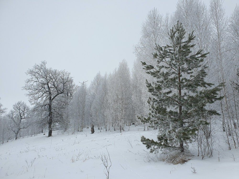 Photograph by Олег Титкин