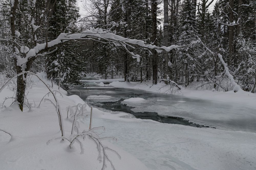 Photograph by Дмитрий Бухтик