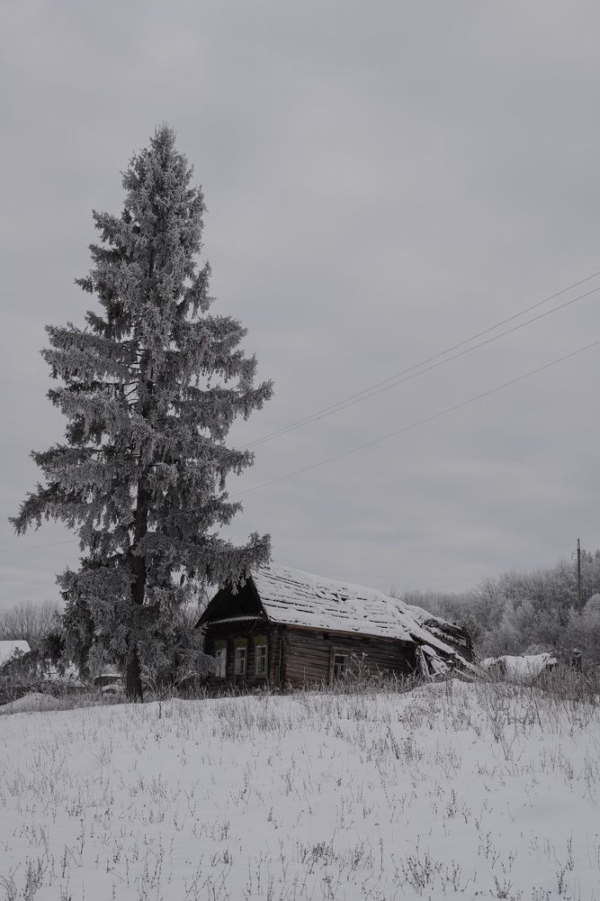 Photograph by Олег Титкин