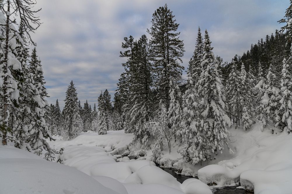 Photograph by Дмитрий Бухтик