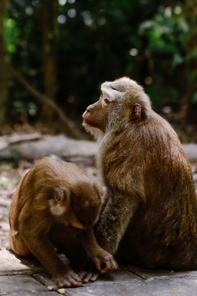 Photograph by Юлия