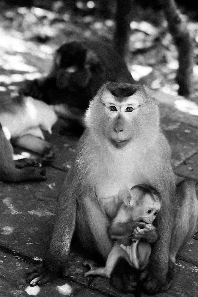 Photograph by Юлия