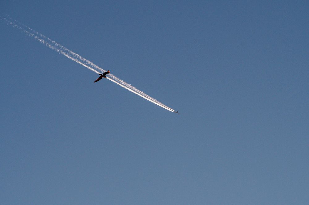 Photograph by Ольга Лысенко