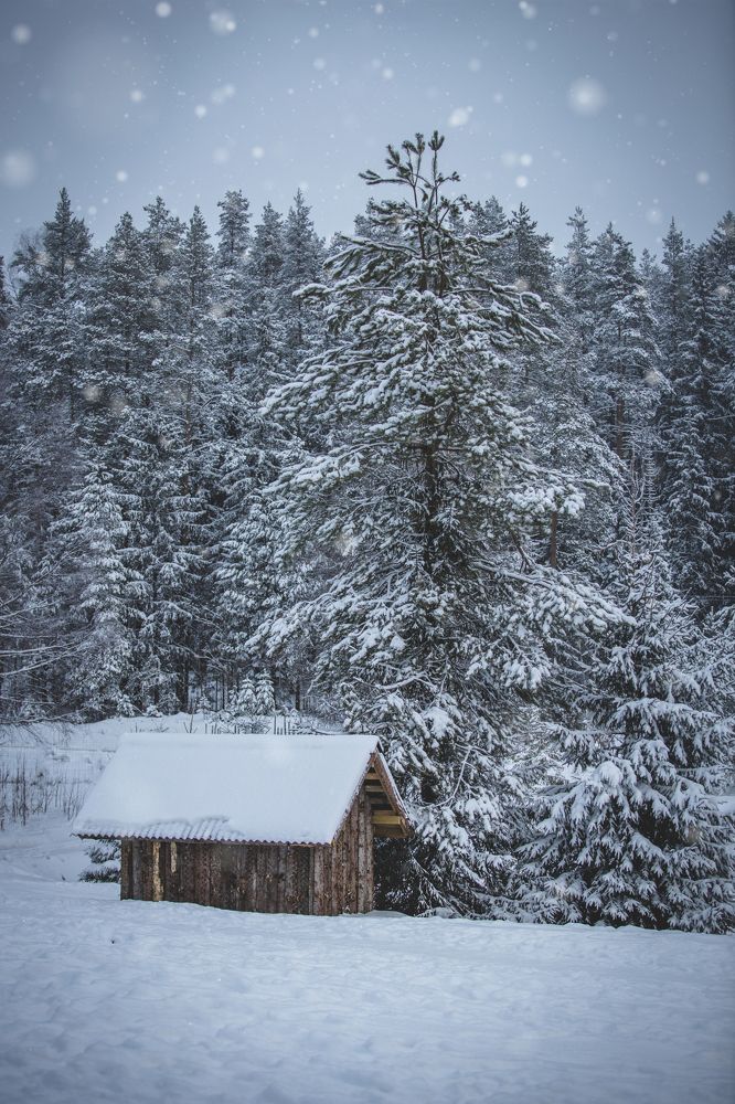 Photograph by Валентина Комарова