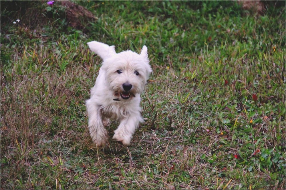 Photograph by Aleksandr Larionov