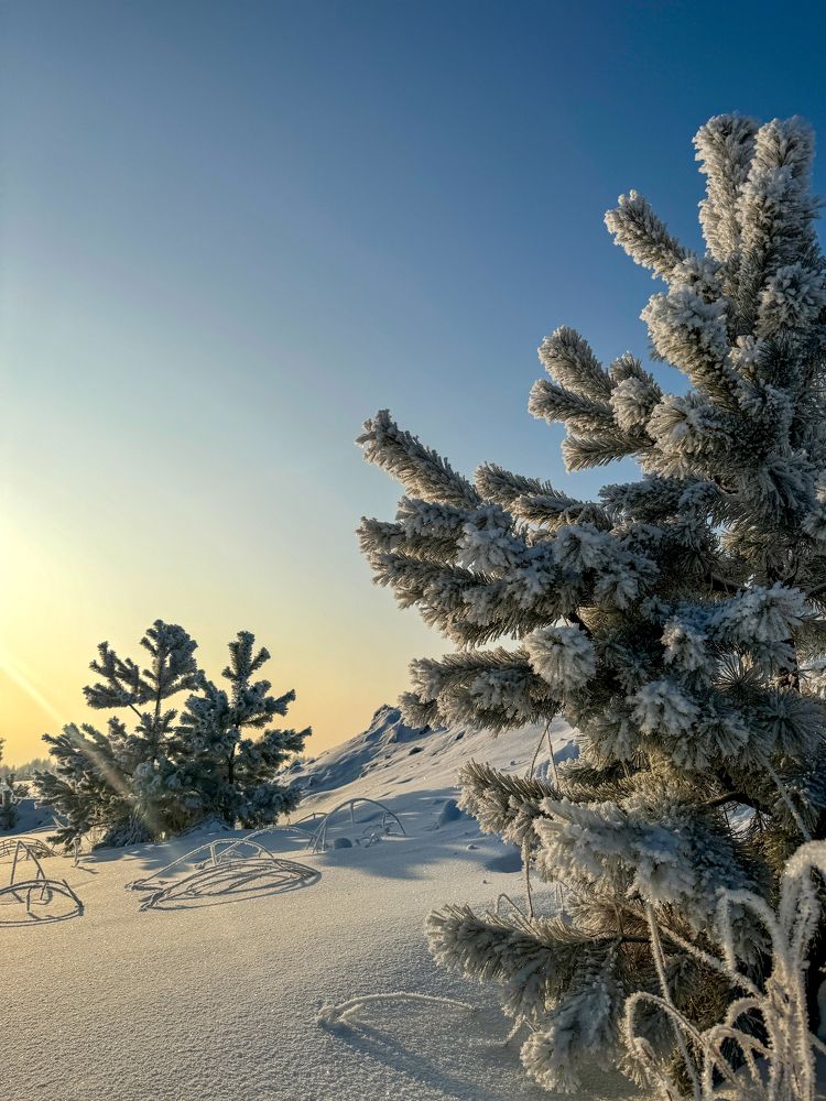 Photograph by Юлия Абдрашитова