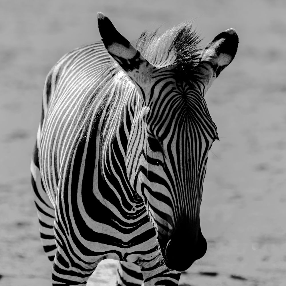 Photograph by Елена Захарова