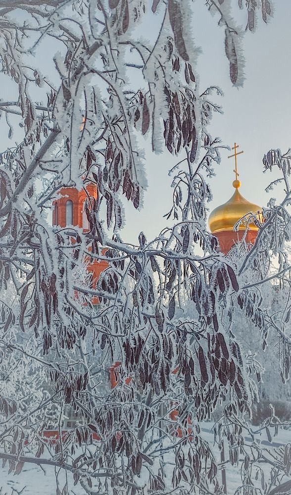 Фотография автора Анастасия Мамаева