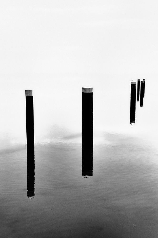 Photograph by Wellington Bezerra Dantas de Souza