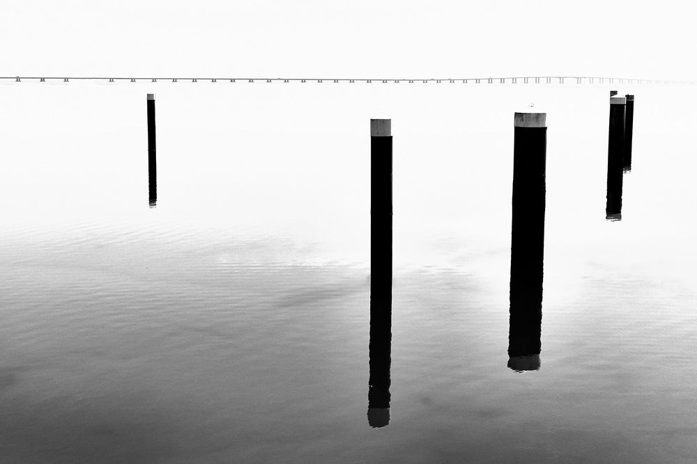 Photograph by Wellington Bezerra Dantas de Souza