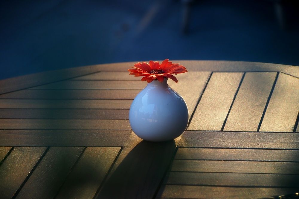 Photograph by Ольга Лысенко