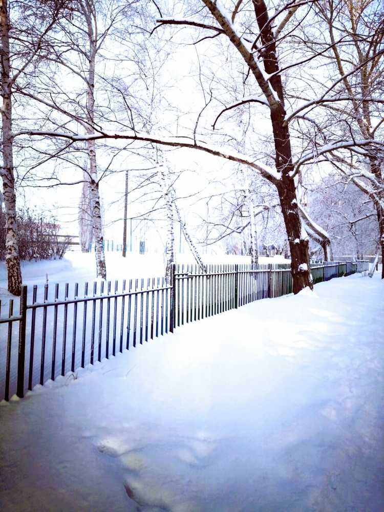 Photograph by Nasima Timcenko