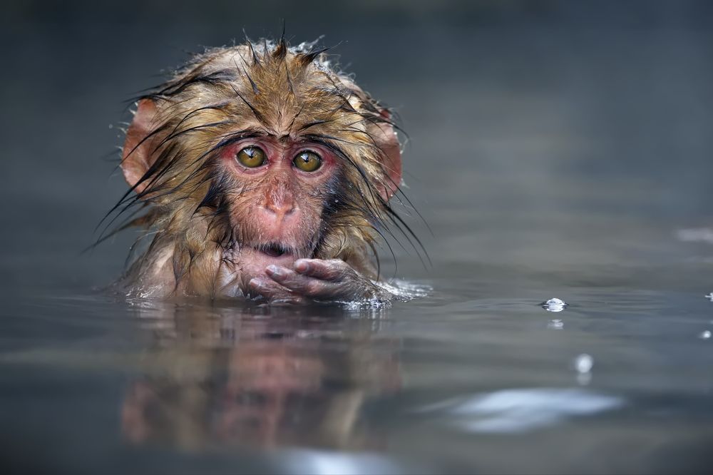 Photograph by Александр Перов