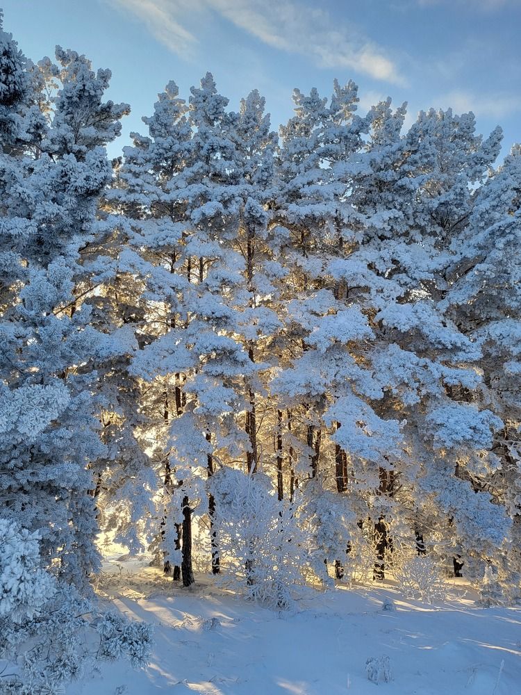 Photograph by Svetlana Korogod