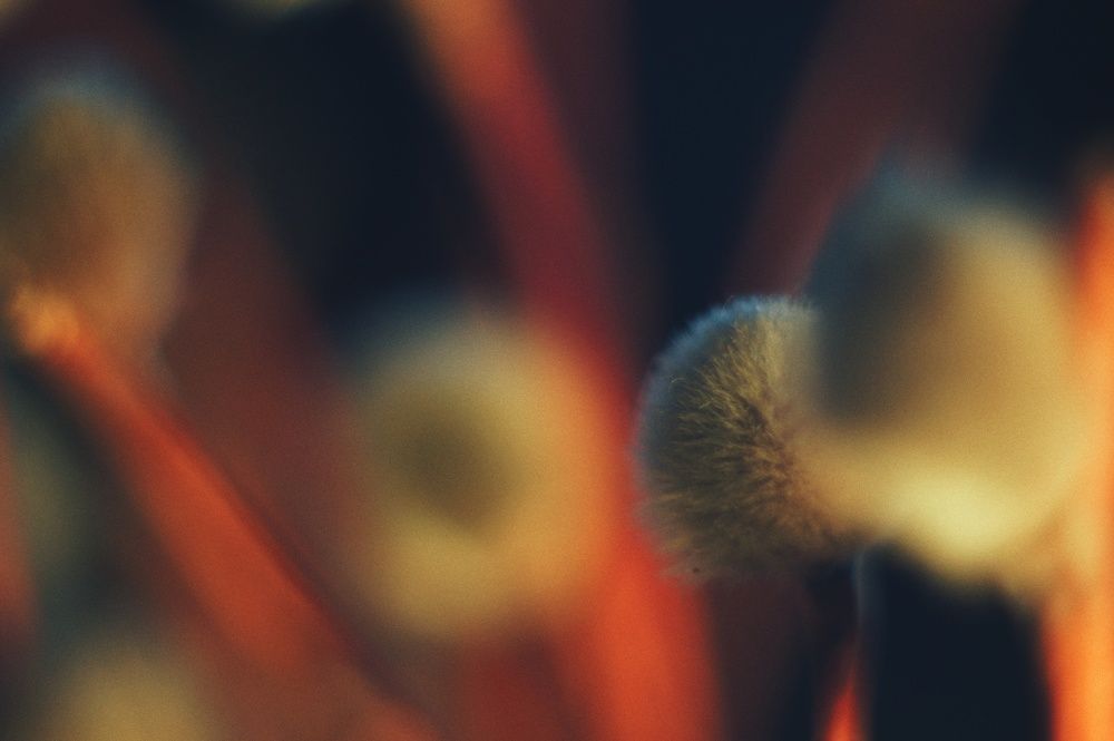 Фотография автора Сергей Вдовин