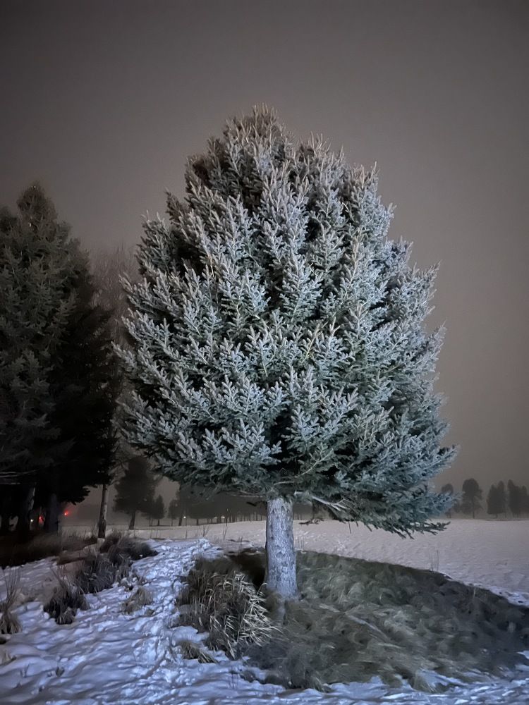 Фотография автора Diana