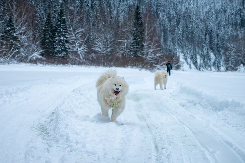 Photograph by Старцев Андрей