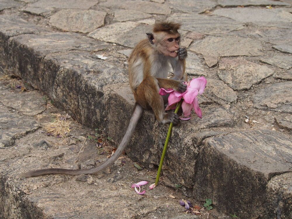 Photograph by Ольга Лысенко