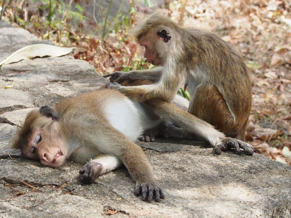 Photograph by Ольга Лысенко