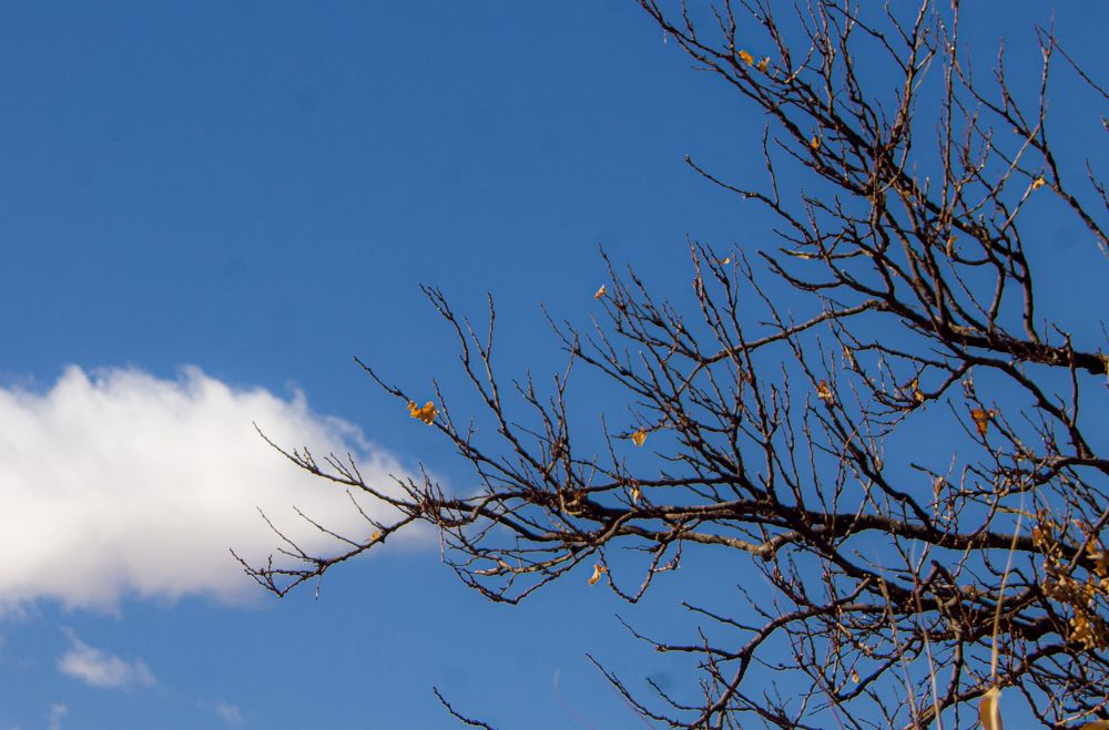 Фотография автора Khaled Zerfaoui