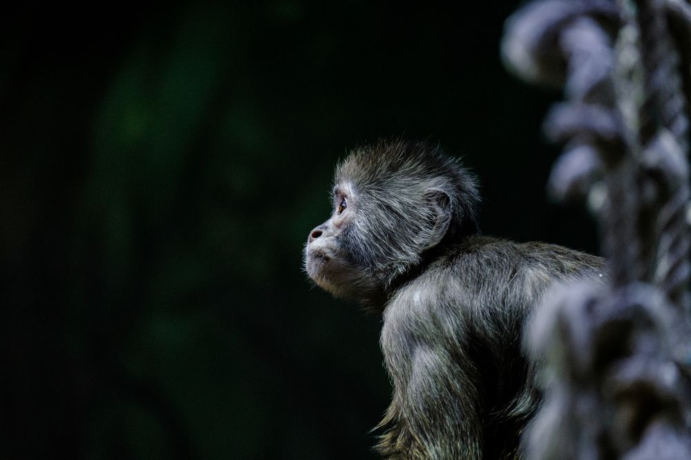 Photograph by Дмитрий Батенёв