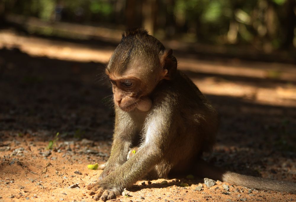 Photograph by Елена Рудкевич