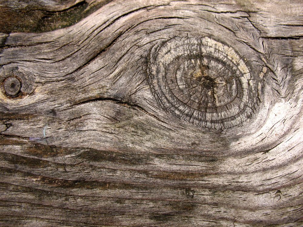 Фотография автора Евгений